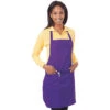 Blue Generation Teflon Treated Twill Bib Apron 6 Per Pack -All Seasons Uniforms Shop BG1270